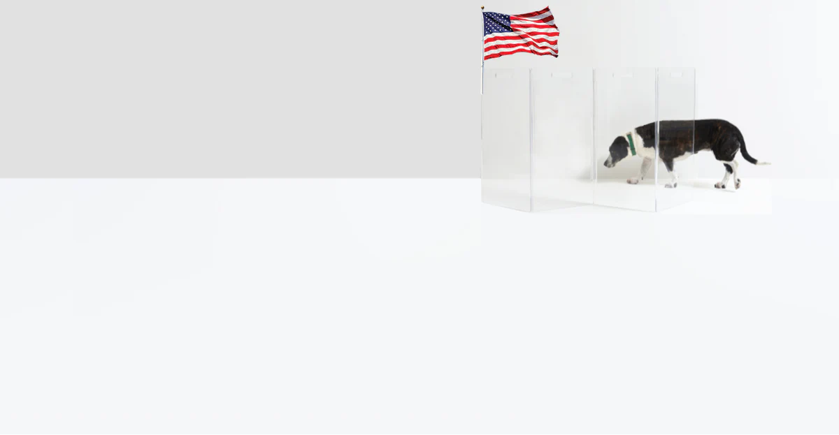 Clear Design, Modern Pet Living