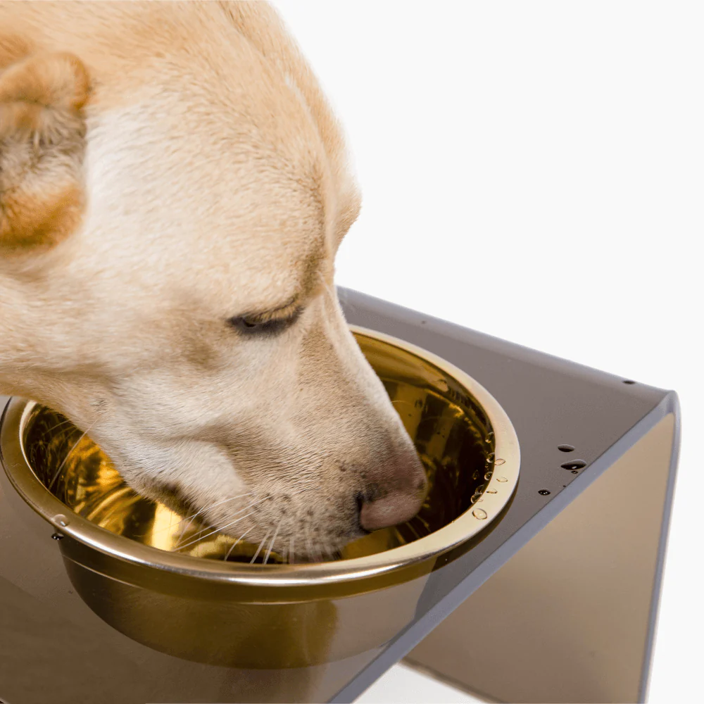 Single Bronze Feeder - Image 3