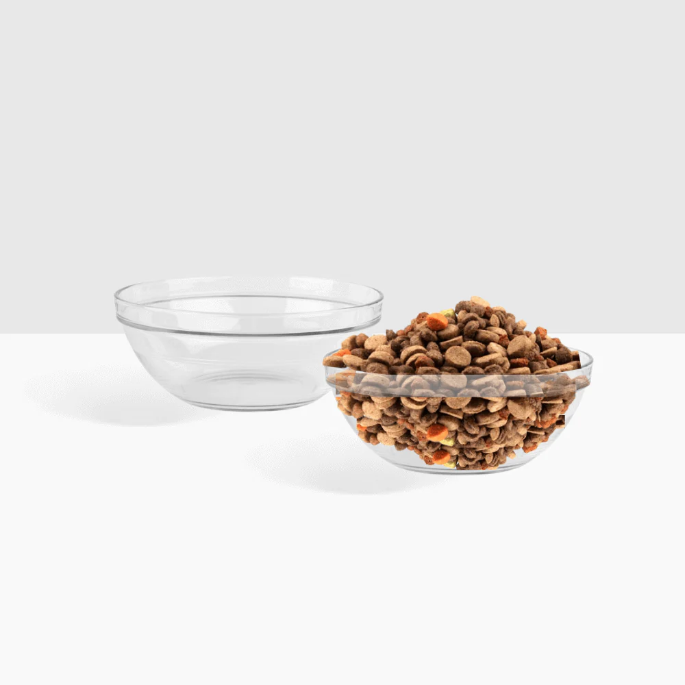 Small Glass Bowl Feeder - Image 11