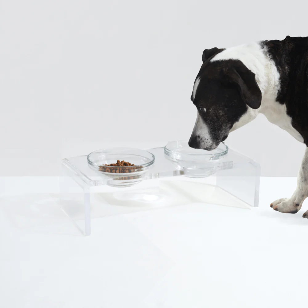 Small Glass Bowl Feeder - Image 13
