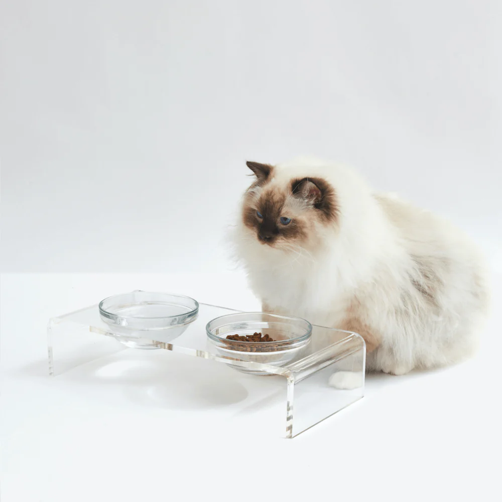 Small Glass Bowl Feeder - Image 8