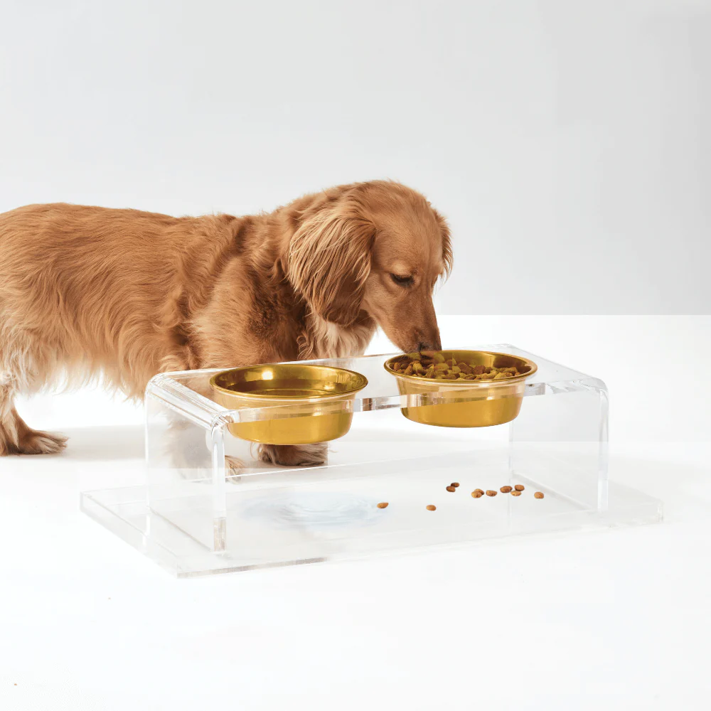 Clear Overflow Feeder Tray - Image 6