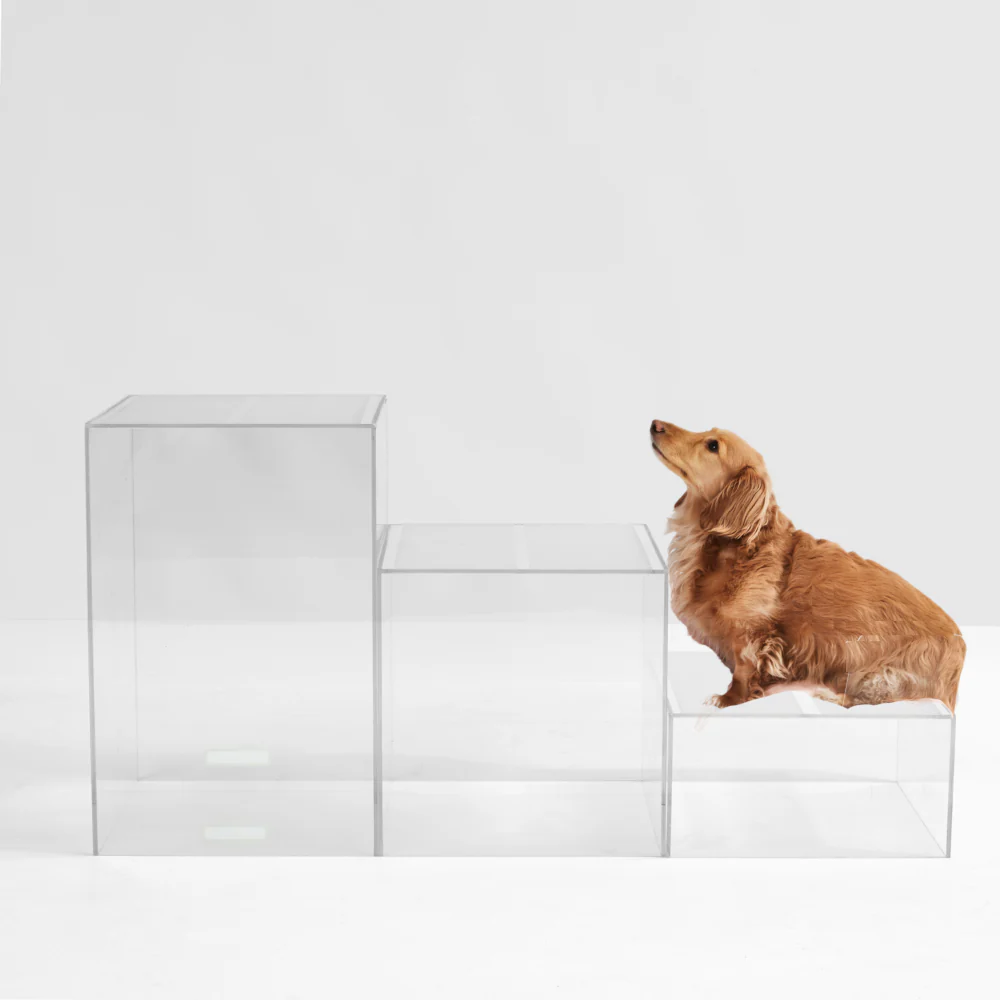 Clear Dog Step Ladder - Image 10
