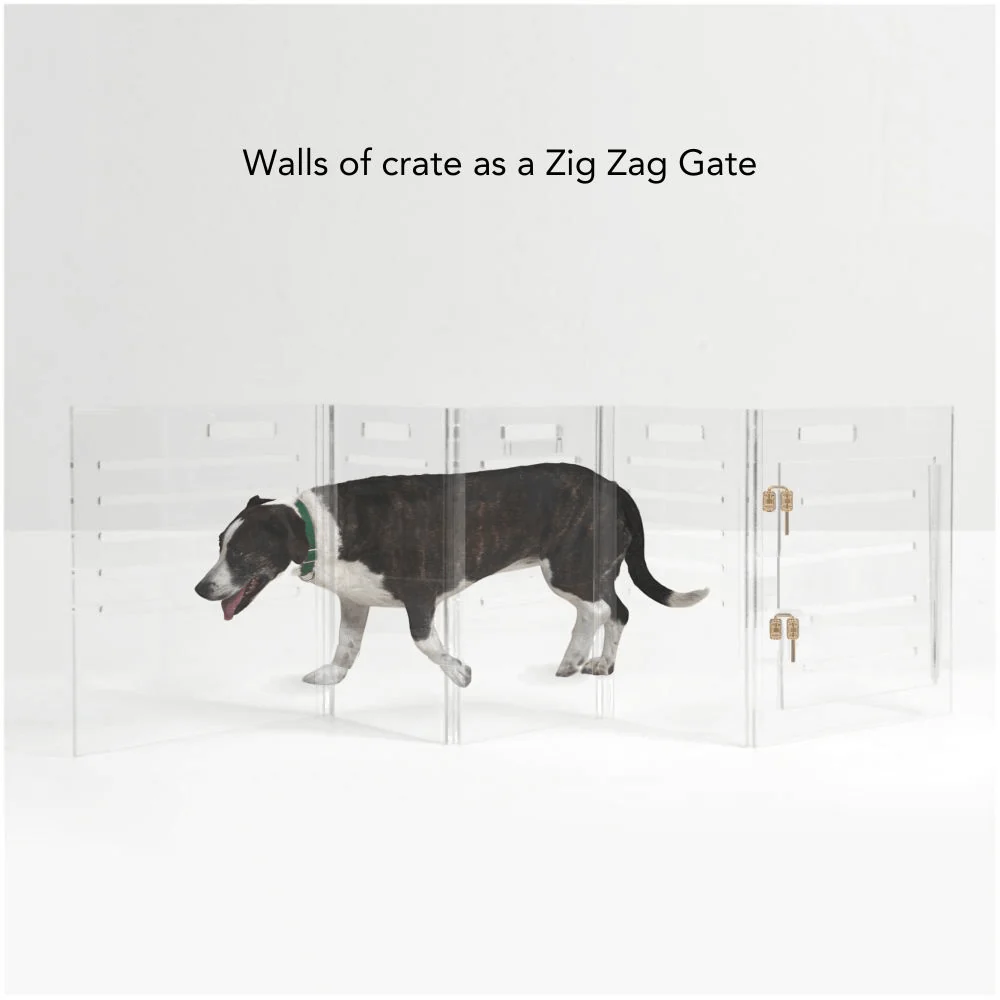 Large Crate (Gold Latch) - Image 23