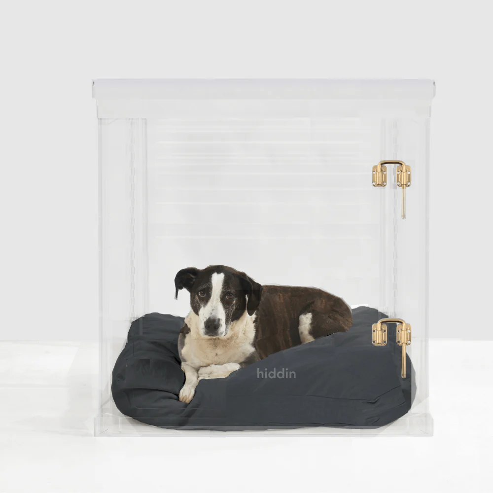 Large Crate (Gold Latch) - Image 5