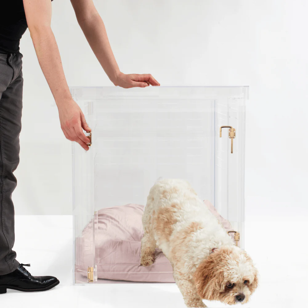 Medium Crate (Gold Latch) - Image 15