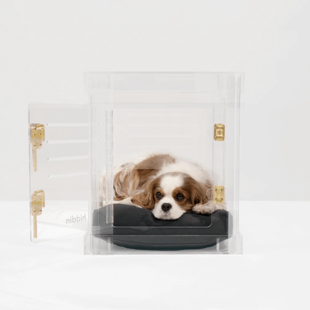 Small Crate (Gold Latch) - Image 17