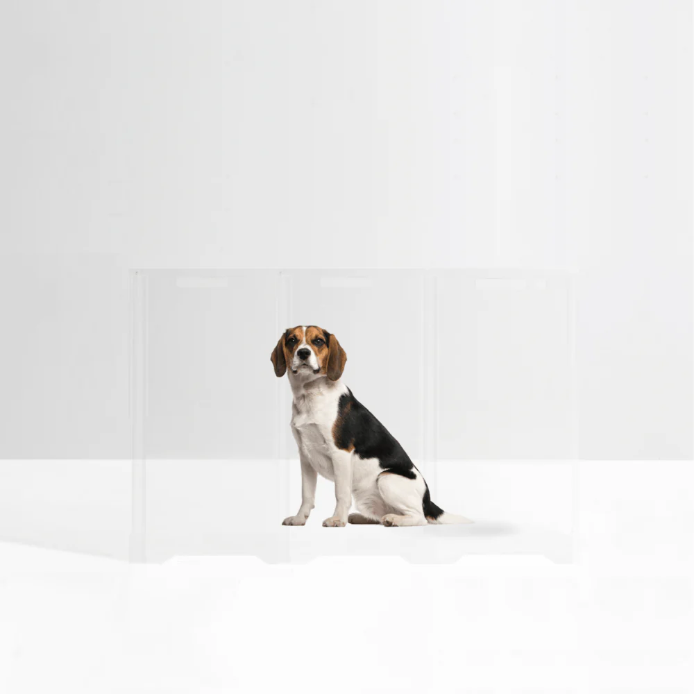 Clear Front Pet Gate - Image 11