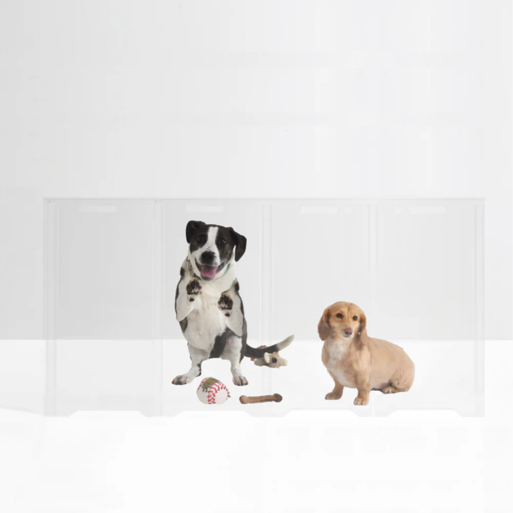 Clear Front Pet Gate - Image 14