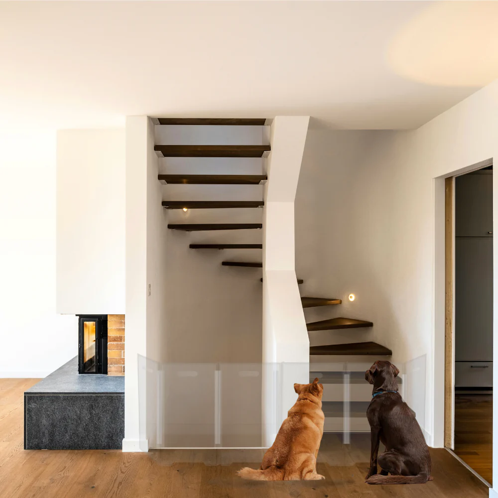 Clear Front Pet Gate - Image 15