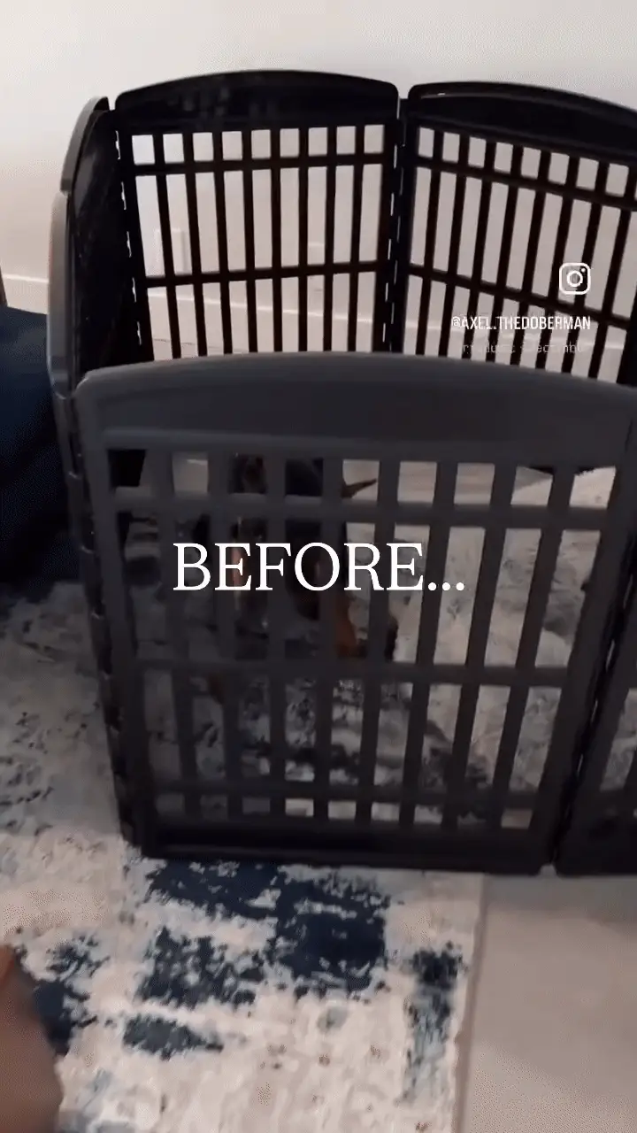 Clear Step-Over Pet Playpen , 24" High - Image 5