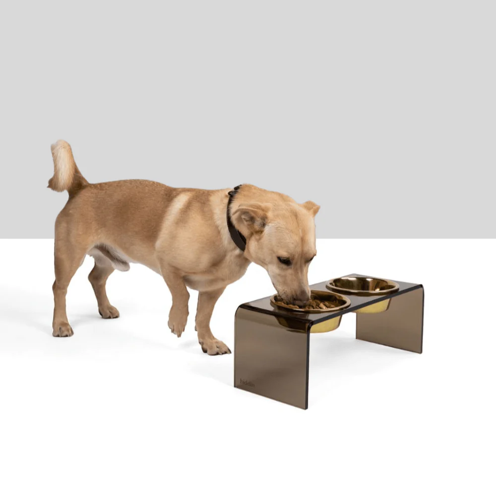 Medium Bronze Feeder - Image 8