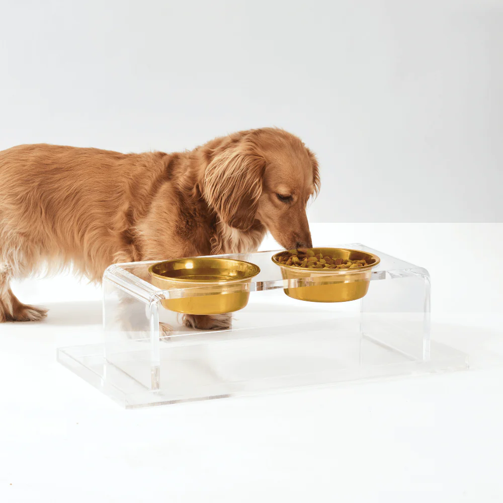 Medium Gold Feeder - Image 11