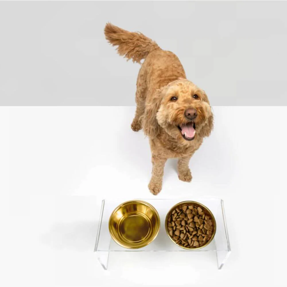 Medium Gold Feeder - Image 8