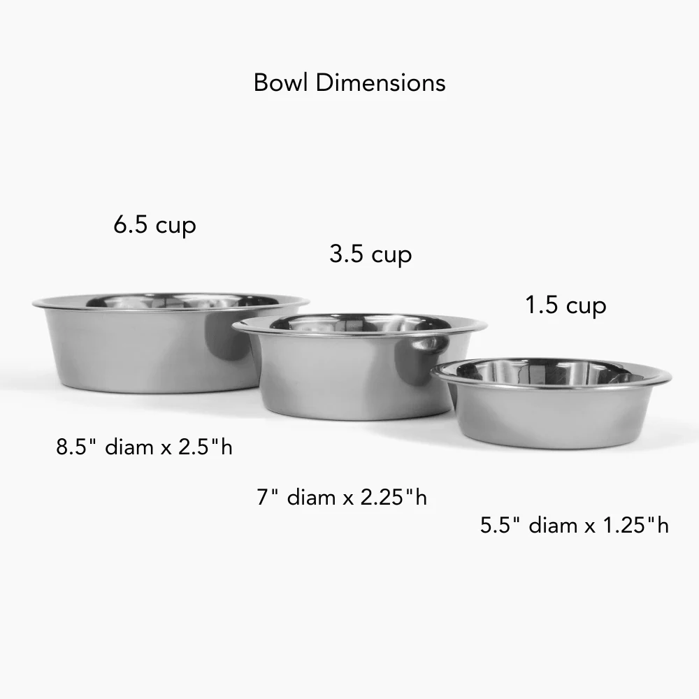 Tall Silver Double Feeder - Image 16