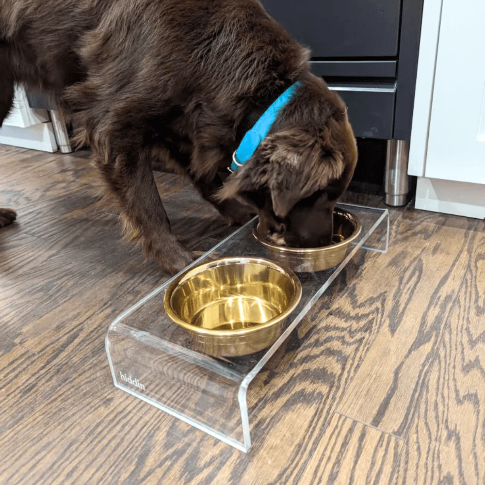 Small Gold Feeder - Image 22