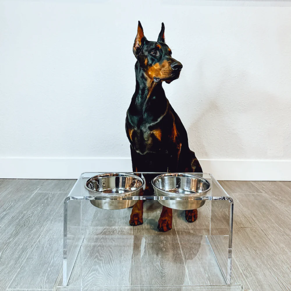 Tall Silver Double Feeder - Image 21