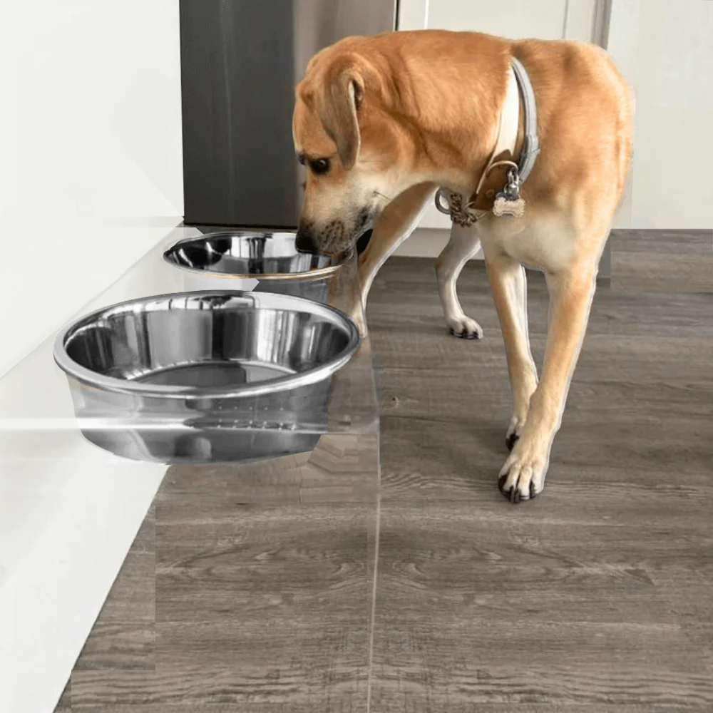 Tall Silver Double Feeder - Image 24