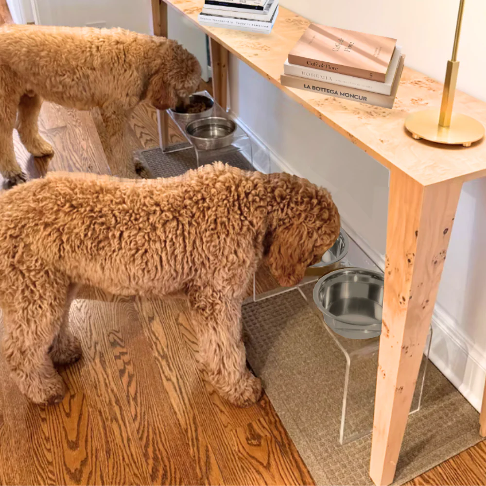 Tall Silver Double Feeder - Image 27