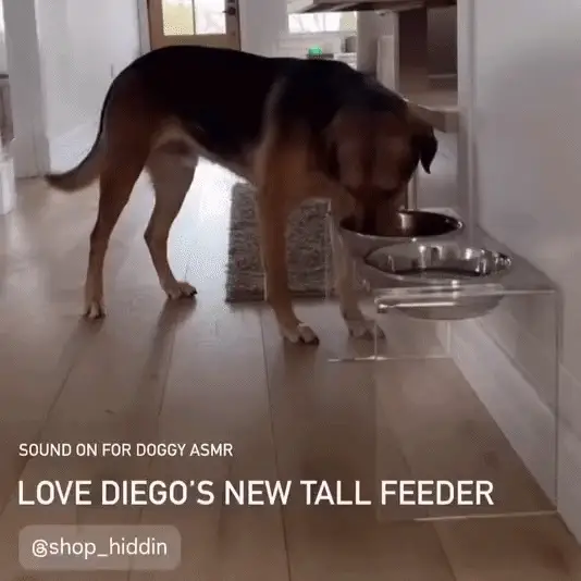 Tall Silver Double Feeder - Image 6