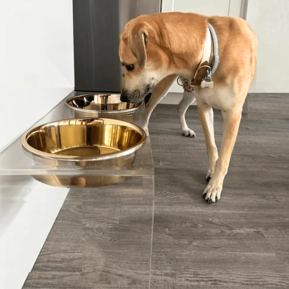Tall Gold Double Feeder - Image 14