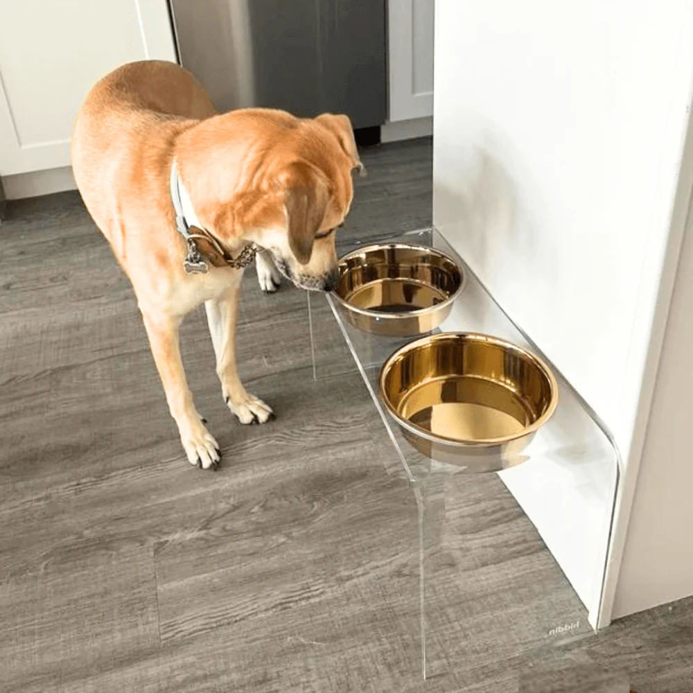 Tall Gold Double Feeder - Image 17