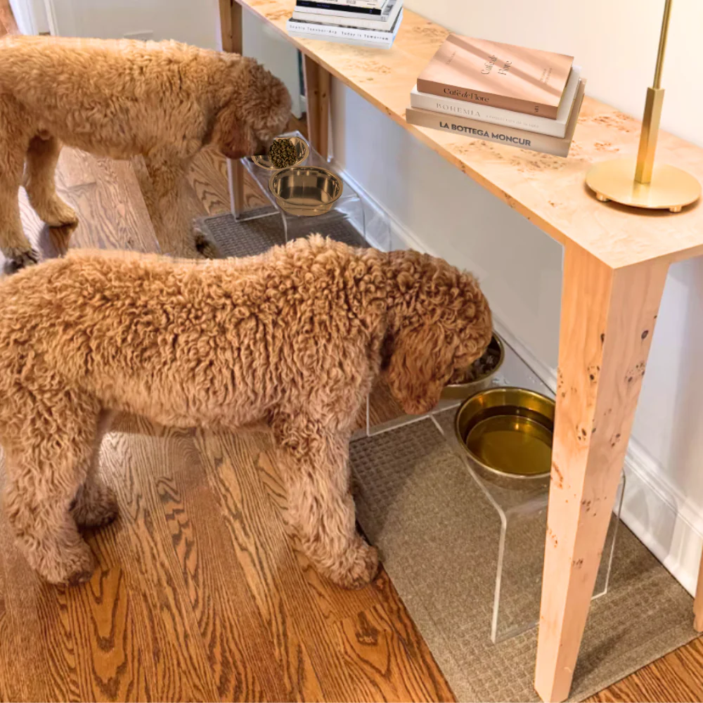 Tall Gold Double Feeder - Image 19