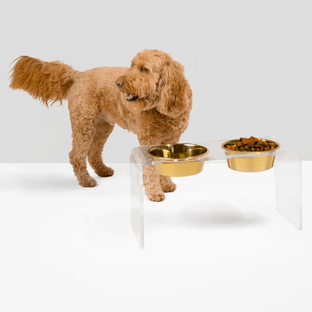 Tall Gold Double Feeder - Image 7